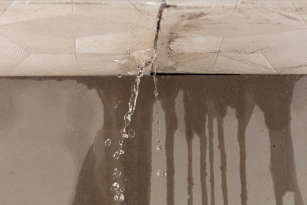 Professional Flood Damage Cleanup technician working in Mulberry, TN